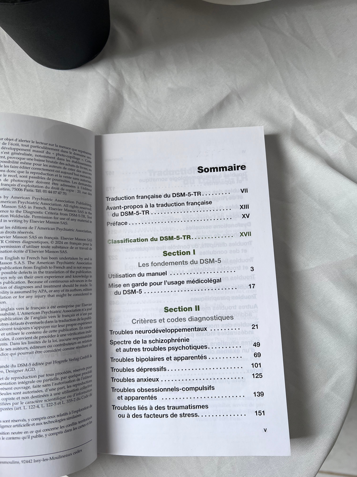 Mini DSM-5-TR - Critères diagnostiques (French Edition)