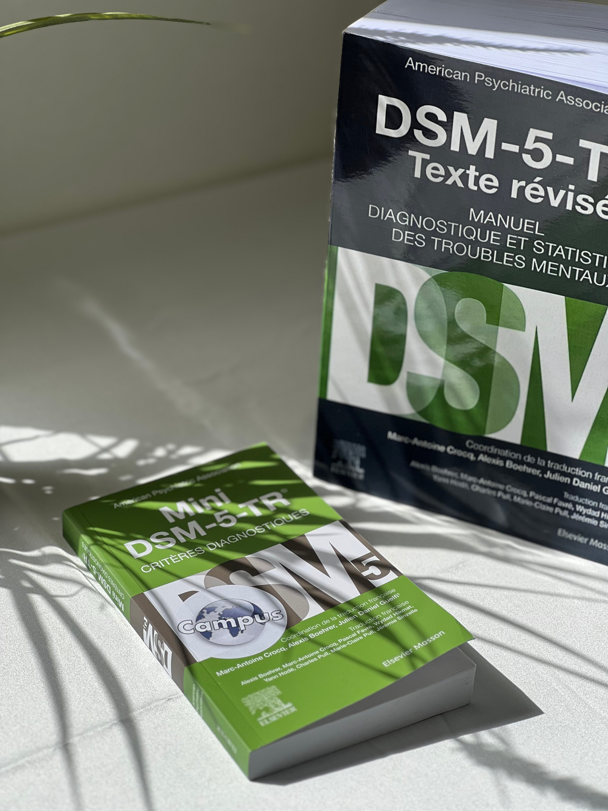 Mini DSM-5-TR - Critères diagnostiques (French Edition)
