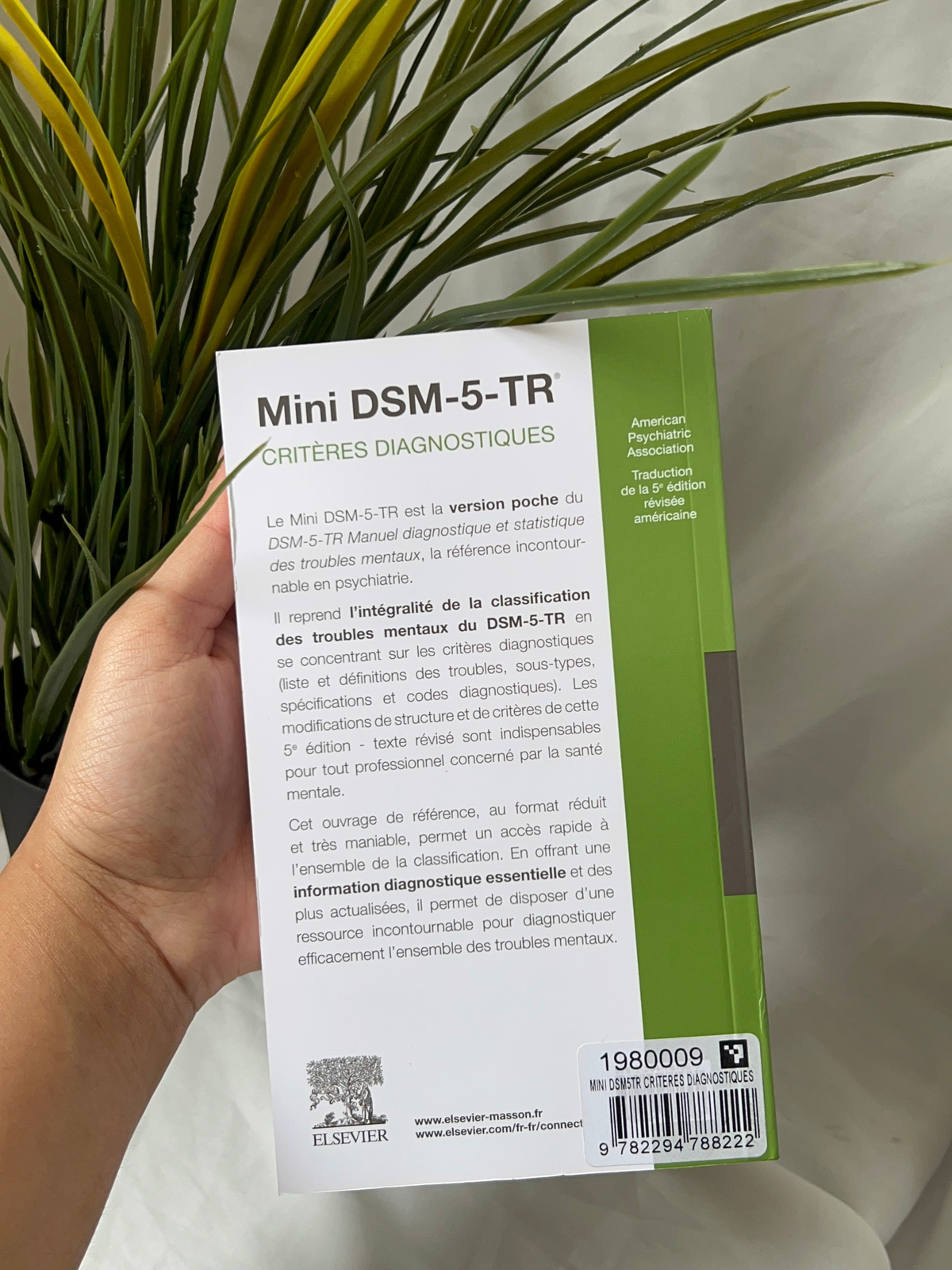 Mini DSM-5-TR - Critères diagnostiques (French Edition)